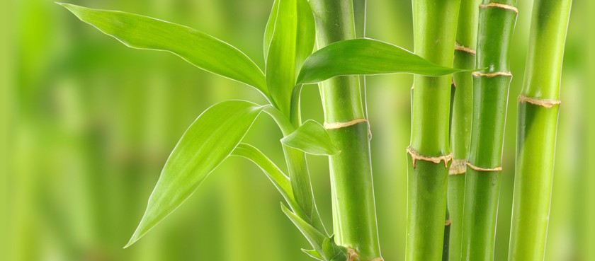 Body Balance Whitianga Claudia Pentner