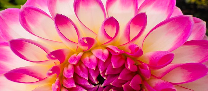 Body Balance Whitianga Claudia Pentner